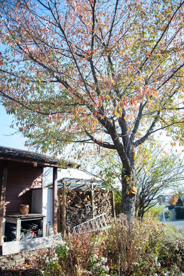 Soil Villa Minamiaso Dış mekan fotoğraf